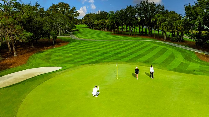 What are the course details?